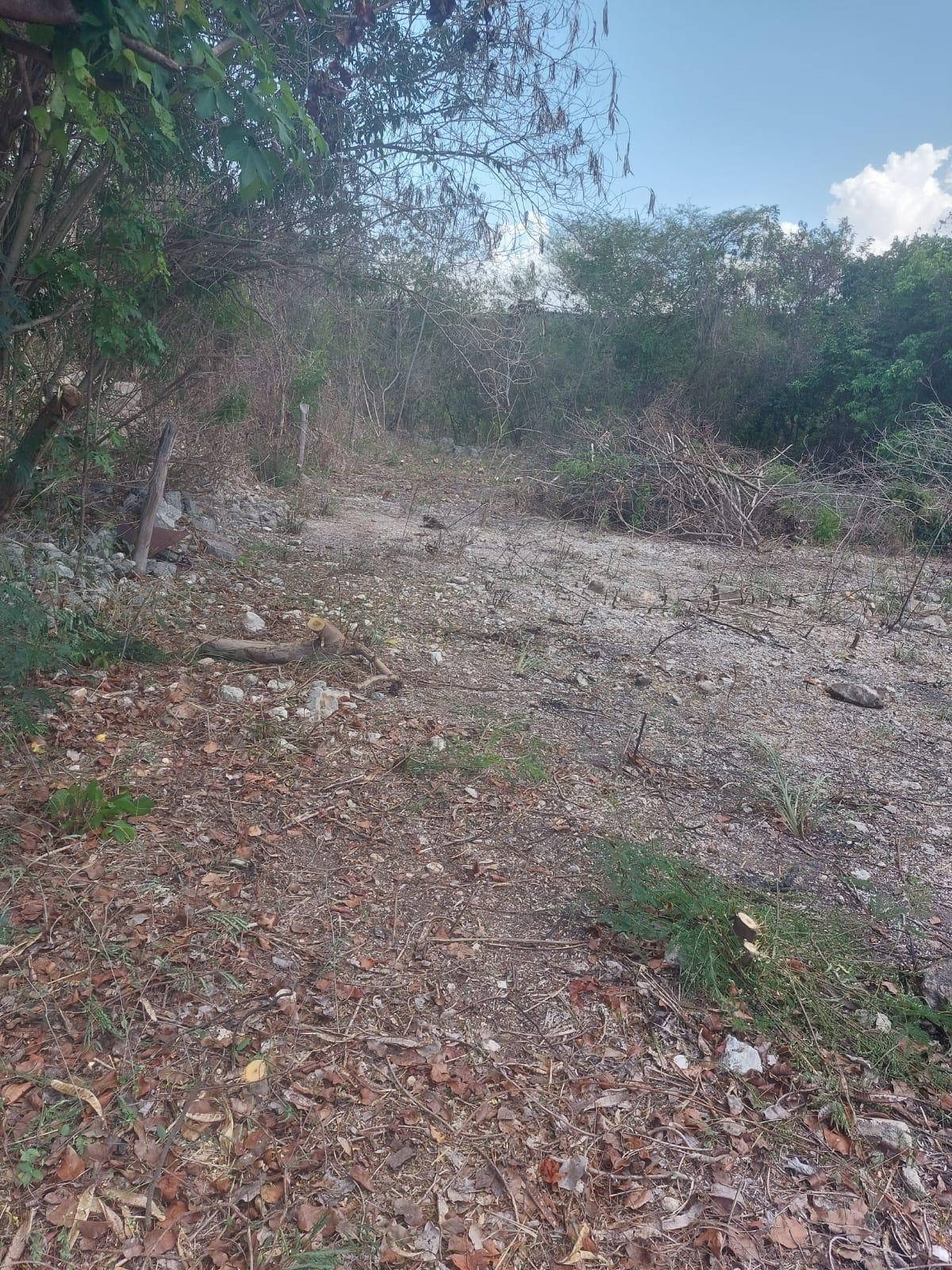 Fifth image of 85 Flamingo Beach in Salt Marsh, Trelawny, Jamaica - property is For Sale