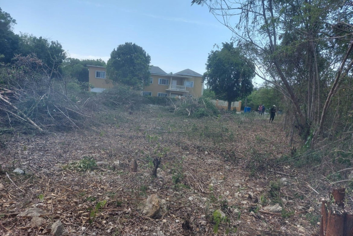 Sixth image of 85 Flamingo Beach in Salt Marsh, Trelawny, Jamaica - property is For Sale