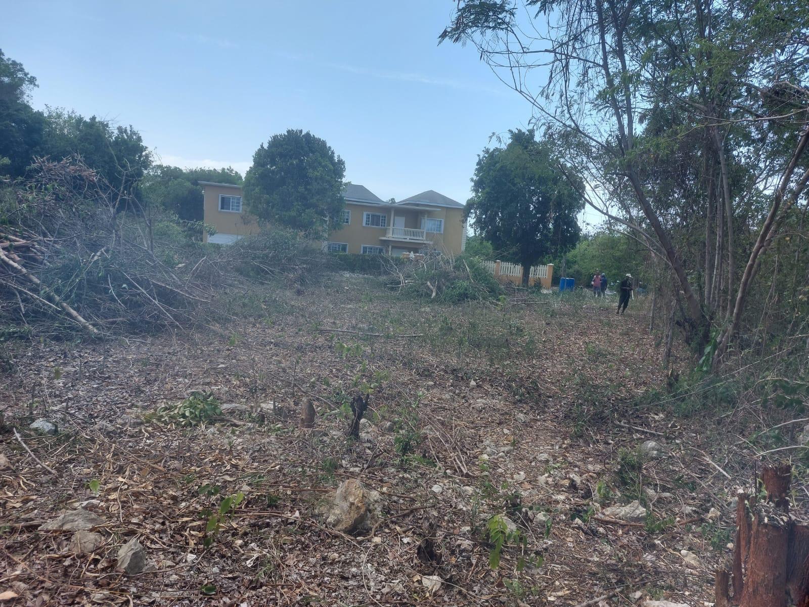 Sixth image of 85 Flamingo Beach in Salt Marsh, Trelawny, Jamaica - property is For Sale