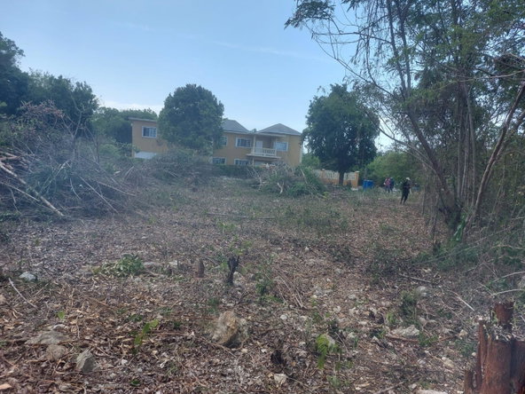 Sixth image of 85 Flamingo Beach in Salt Marsh, Trelawny, Jamaica - property is For Sale
