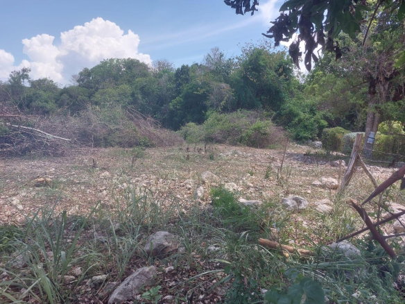 First image of 85 Flamingo Beach in Salt Marsh, Trelawny, Jamaica - property is For Sale