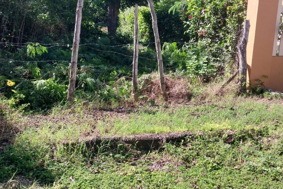 Ninth image of 85 Flamingo Beach in Salt Marsh, Trelawny, Jamaica - property is For Sale