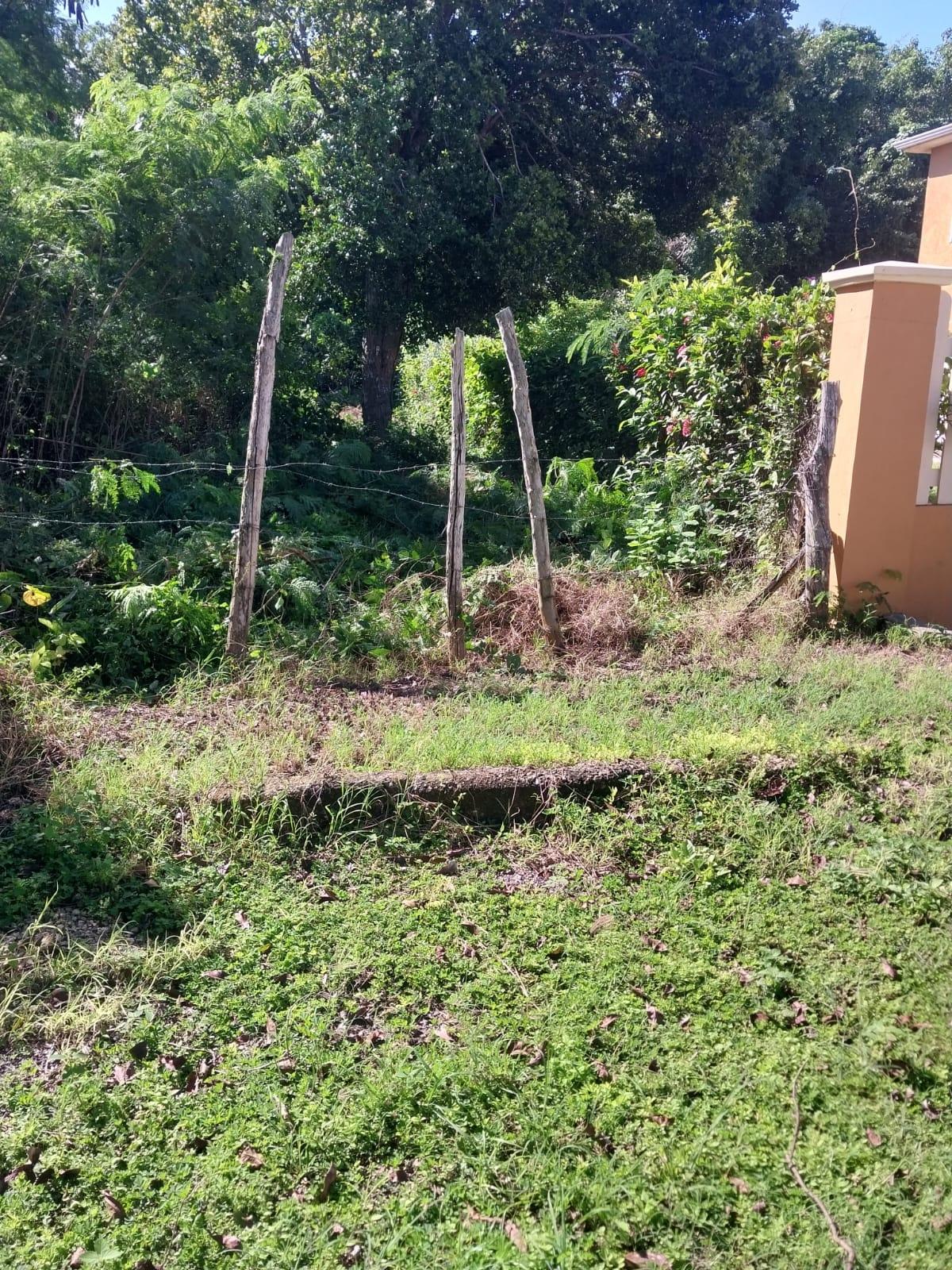 Ninth image of 85 Flamingo Beach in Salt Marsh, Trelawny, Jamaica - property is For Sale