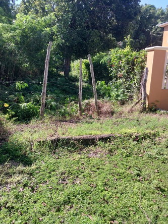 Ninth image of 85 Flamingo Beach in Salt Marsh, Trelawny, Jamaica - property is For Sale