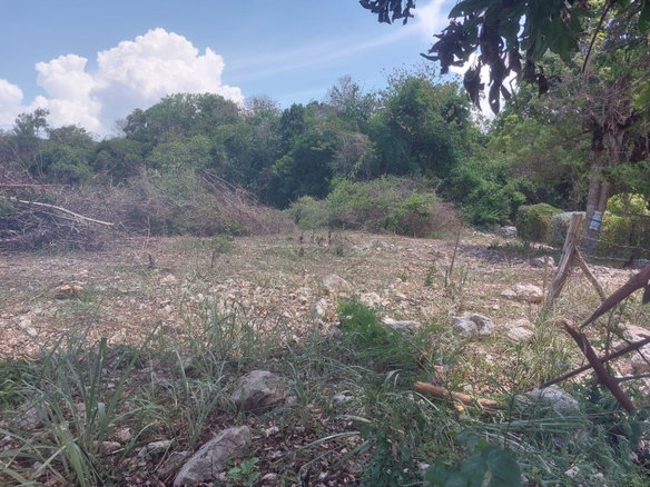 First image of 85 Flamingo Beach in Salt Marsh, Trelawny, Jamaica - property is For Sale
