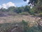 First image of 85 Flamingo Beach in Salt Marsh, Trelawny, Jamaica - property is For Sale