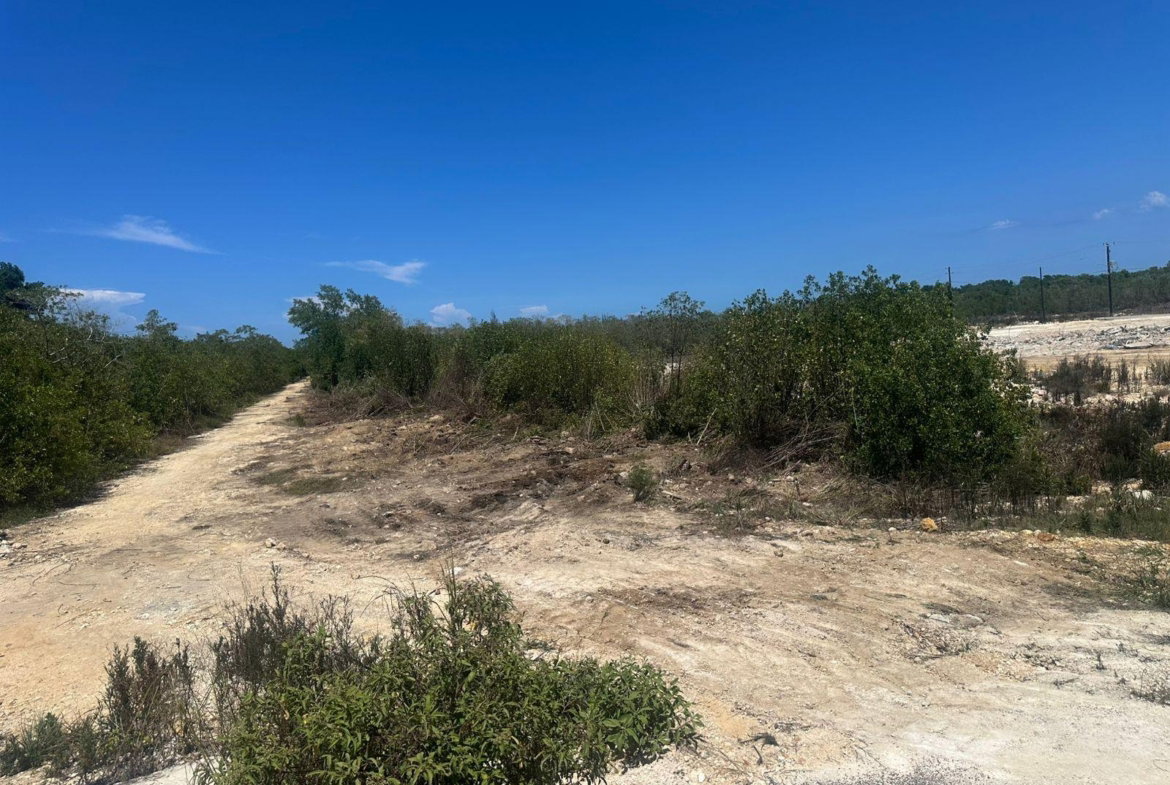 Fifth image of Holland Estates, Trelawny in Falmouth, Trelawny, Jamaica - property is For Sale