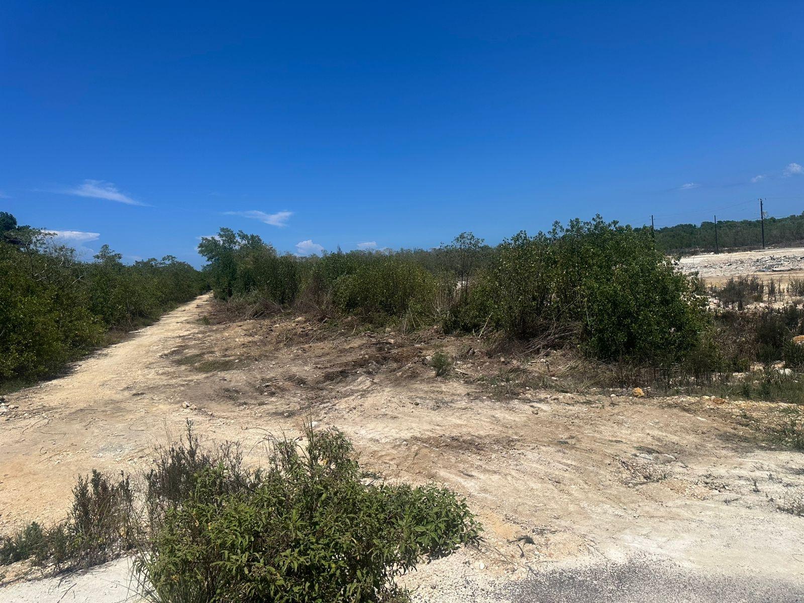 Fifth image of Holland Estates, Trelawny in Falmouth, Trelawny, Jamaica - property is For Sale