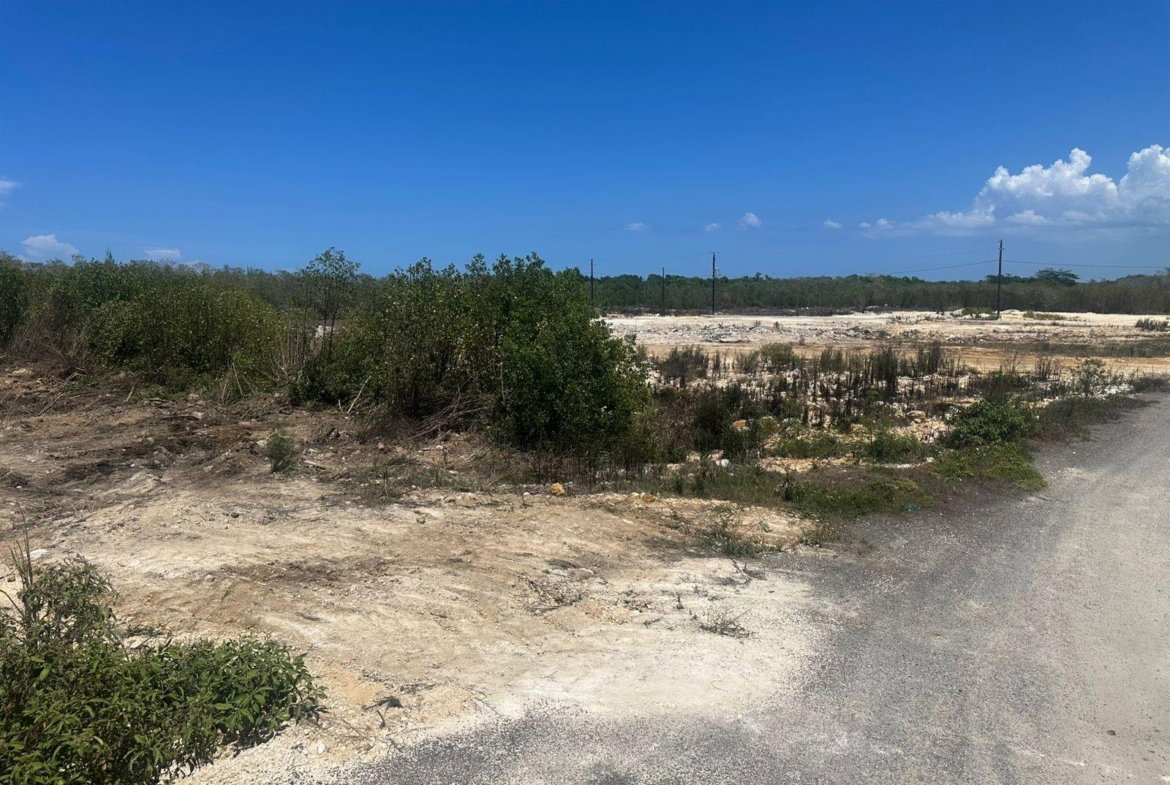 Eighth image of Holland Estates, Trelawny in Falmouth, Trelawny, Jamaica - property is For Sale