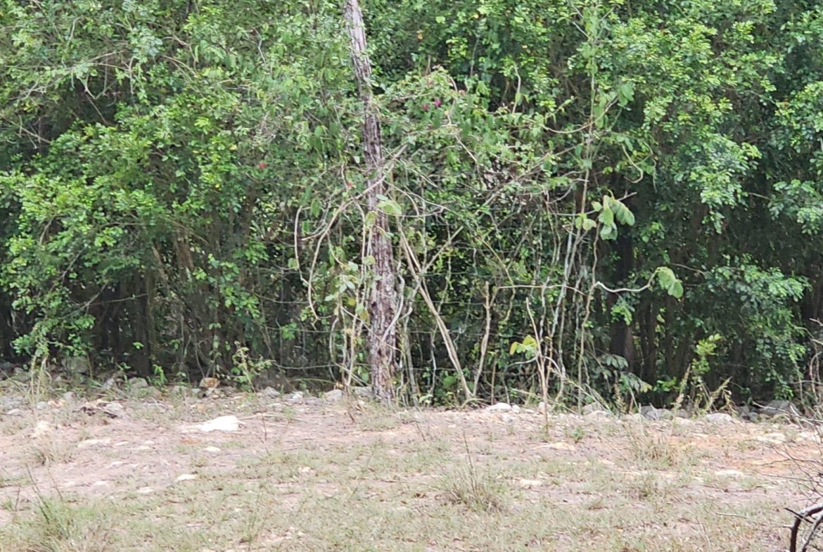 Eleventh image of Lot 284 Green Park, Trelawny in Green Park, Trelawny, Jamaica - property is For Sale