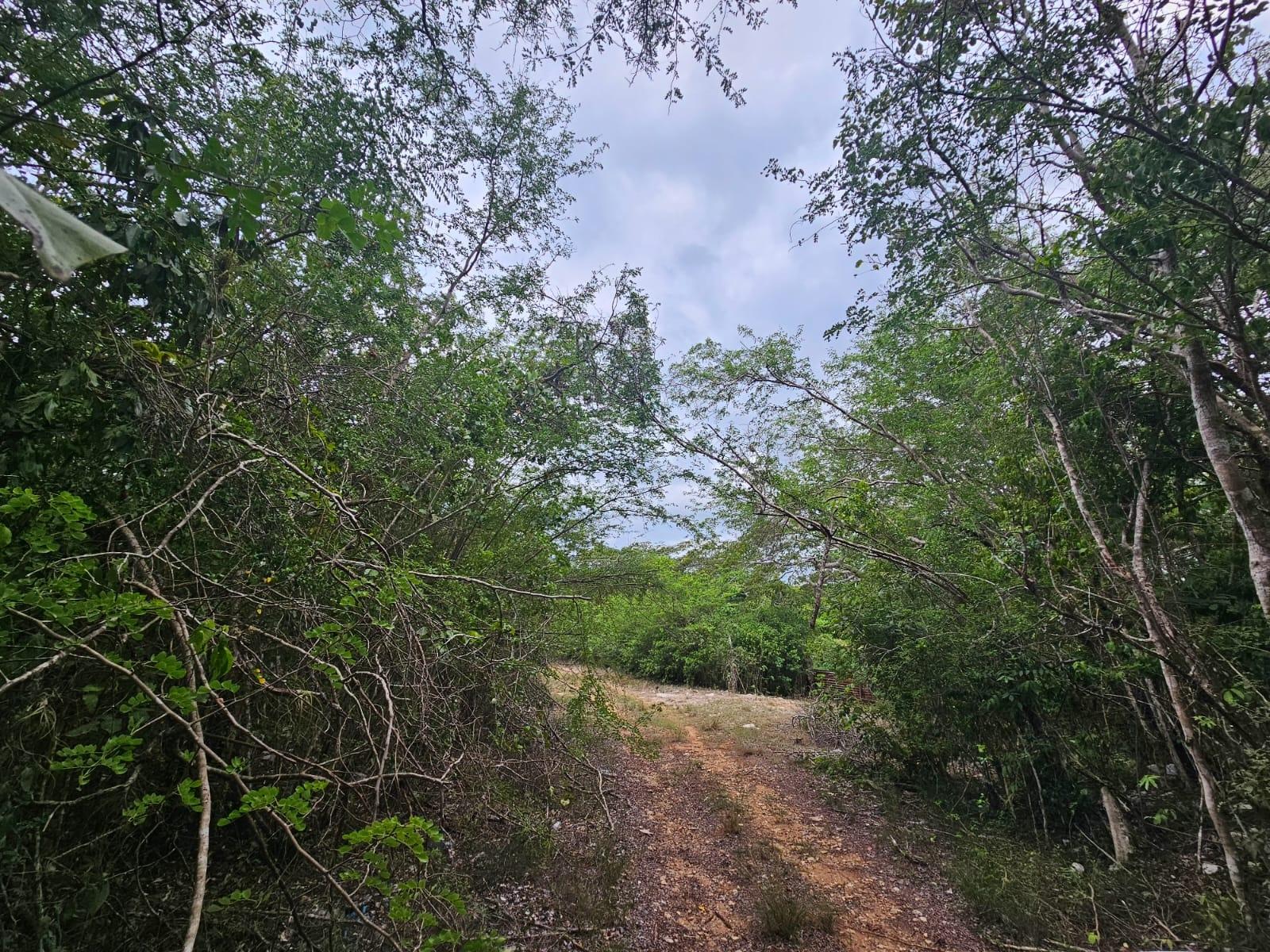 Twelfth image of Lot 284 Green Park, Trelawny in Green Park, Trelawny, Jamaica - property is For Sale