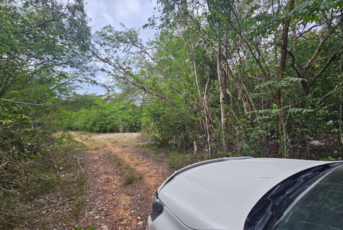 Thirteenth image of Lot 284 Green Park, Trelawny in Green Park, Trelawny, Jamaica - property is For Sale