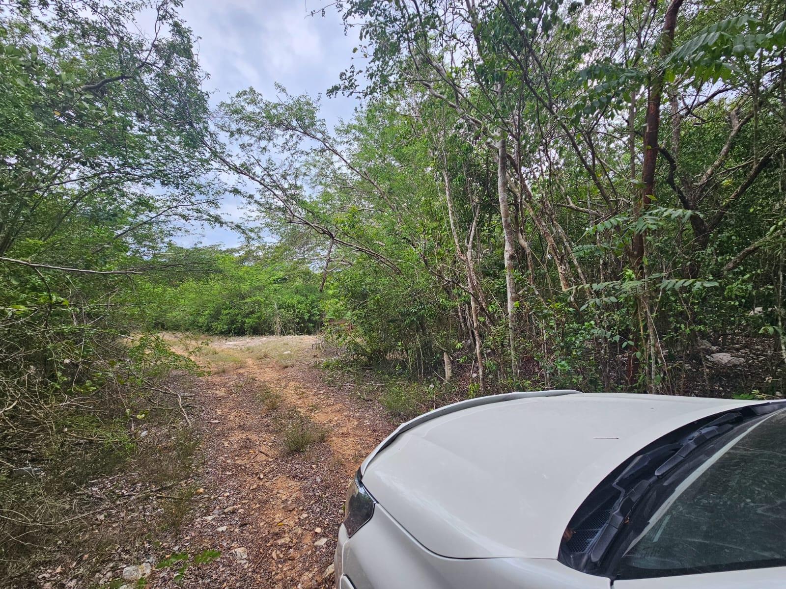 Thirteenth image of Lot 284 Green Park, Trelawny in Green Park, Trelawny, Jamaica - property is For Sale
