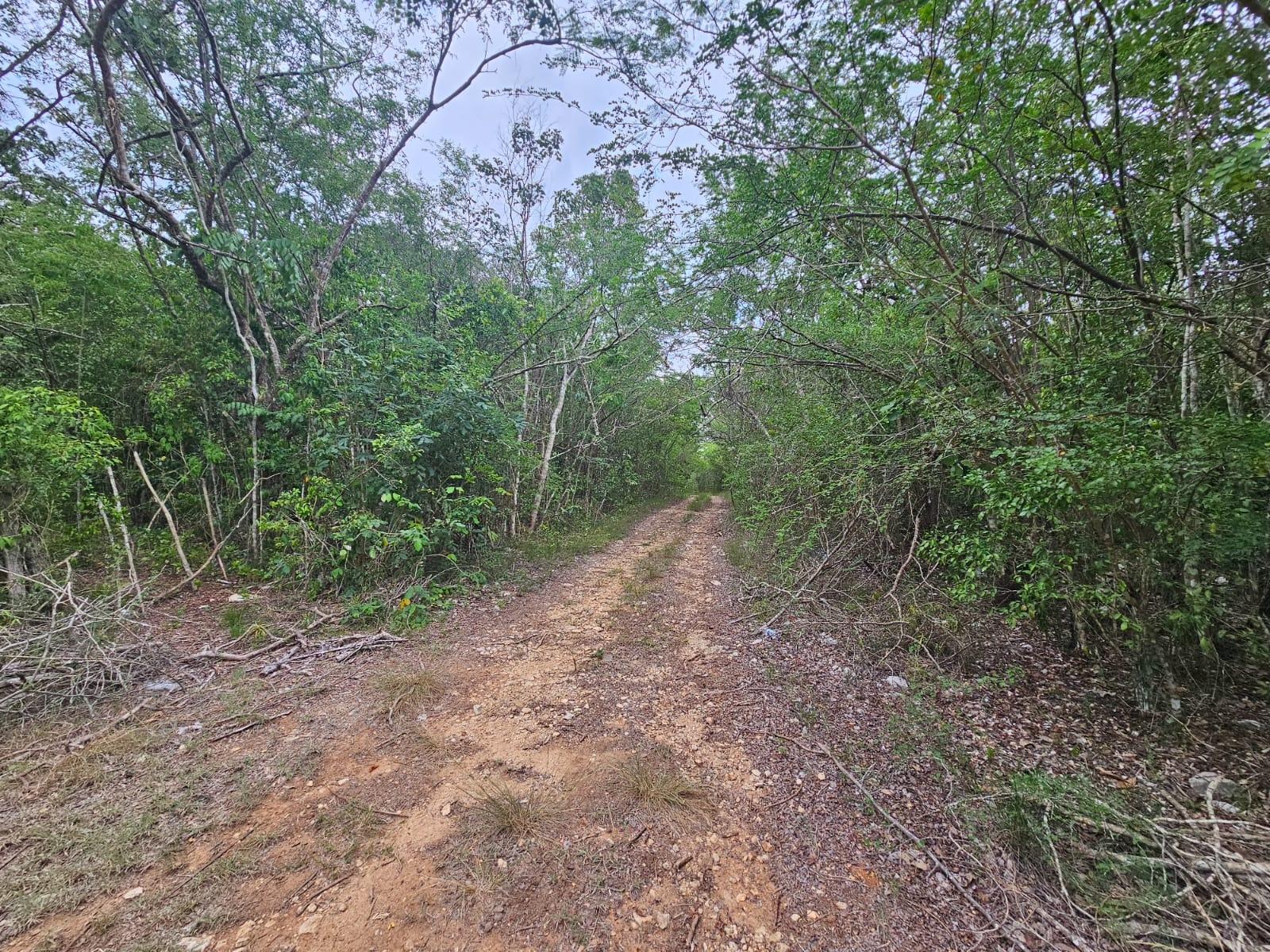 Fourteenth image of Lot 284 Green Park, Trelawny in Green Park, Trelawny, Jamaica - property is For Sale