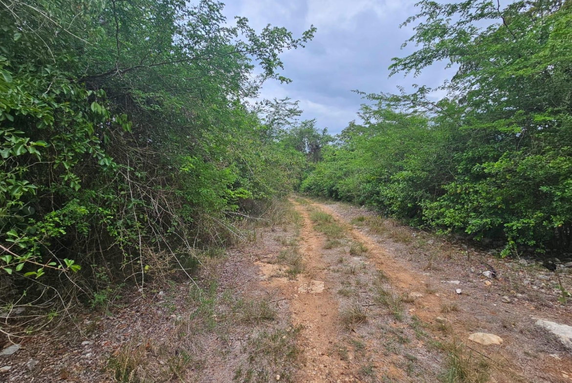 Fifteenth image of Lot 284 Green Park, Trelawny in Green Park, Trelawny, Jamaica - property is For Sale
