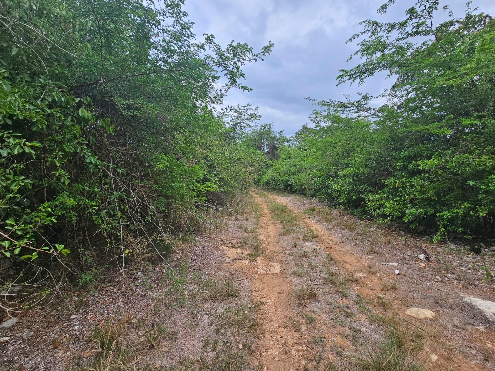 Fifteenth image of Lot 284 Green Park, Trelawny in Green Park, Trelawny, Jamaica - property is For Sale