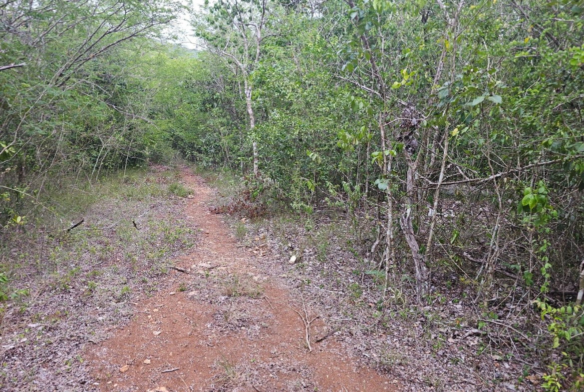 Sixteenth image of Lot 284 Green Park, Trelawny in Green Park, Trelawny, Jamaica - property is For Sale