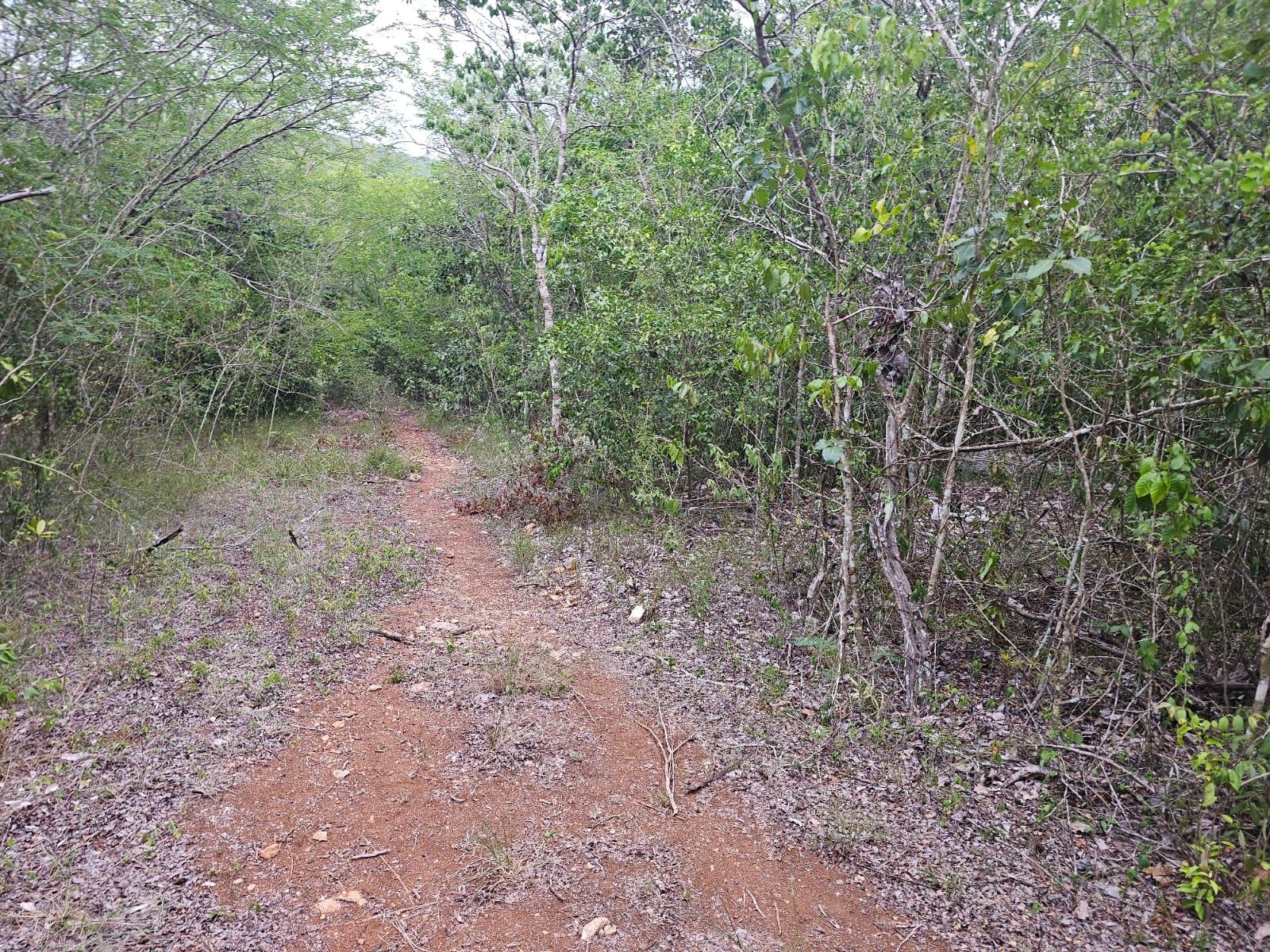 Sixteenth image of Lot 284 Green Park, Trelawny in Green Park, Trelawny, Jamaica - property is For Sale