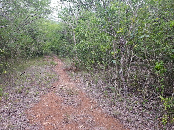 Sixteenth image of Lot 284 Green Park, Trelawny in Green Park, Trelawny, Jamaica - property is For Sale