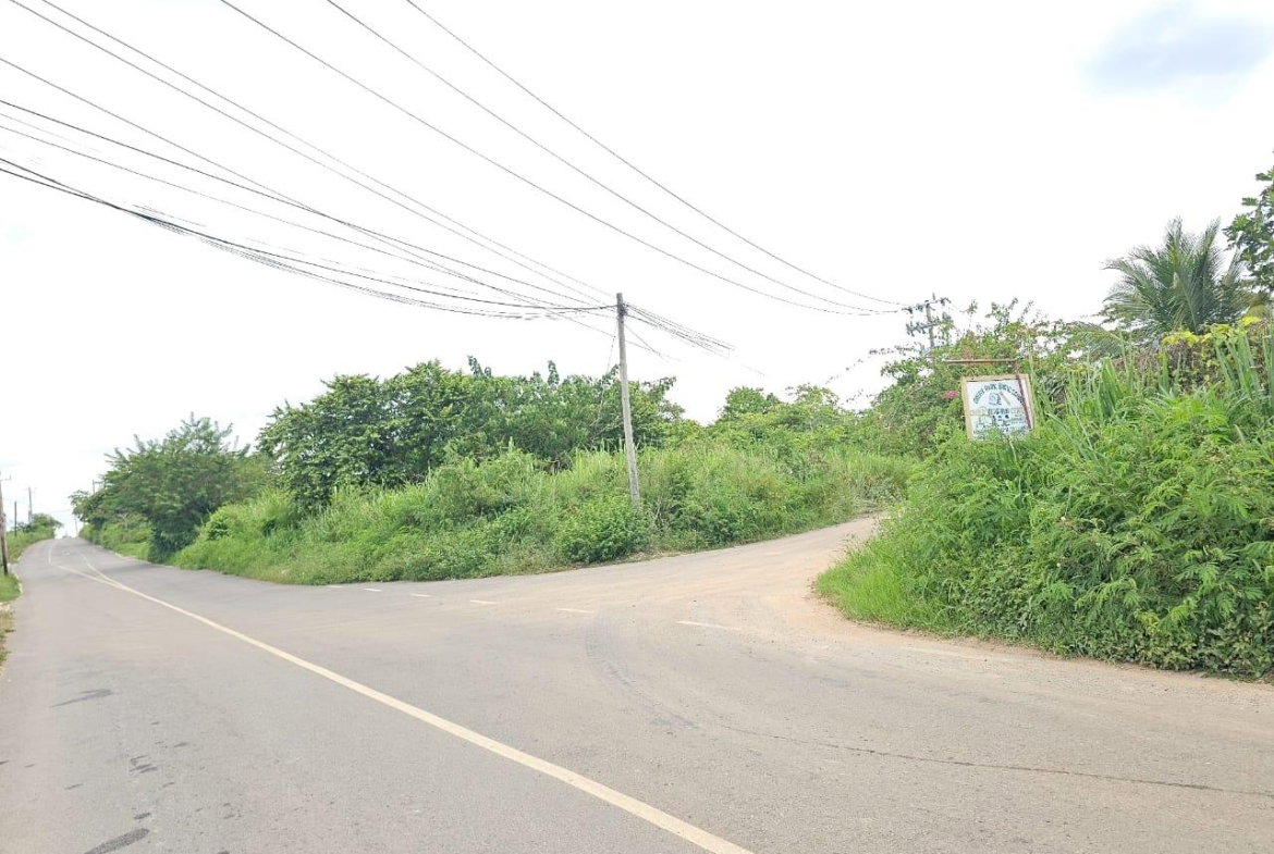 Eighth image of Lot 284 Green Park, Trelawny in Green Park, Trelawny, Jamaica - property is For Sale