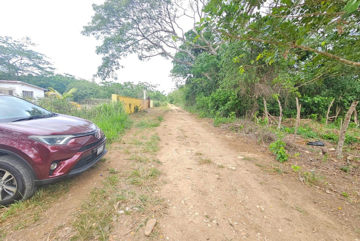 Ninth image of Lot 284 Green Park, Trelawny in Green Park, Trelawny, Jamaica - property is For Sale