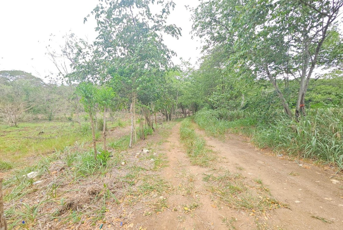 Tenth image of Lot 284 Green Park, Trelawny in Green Park, Trelawny, Jamaica - property is For Sale