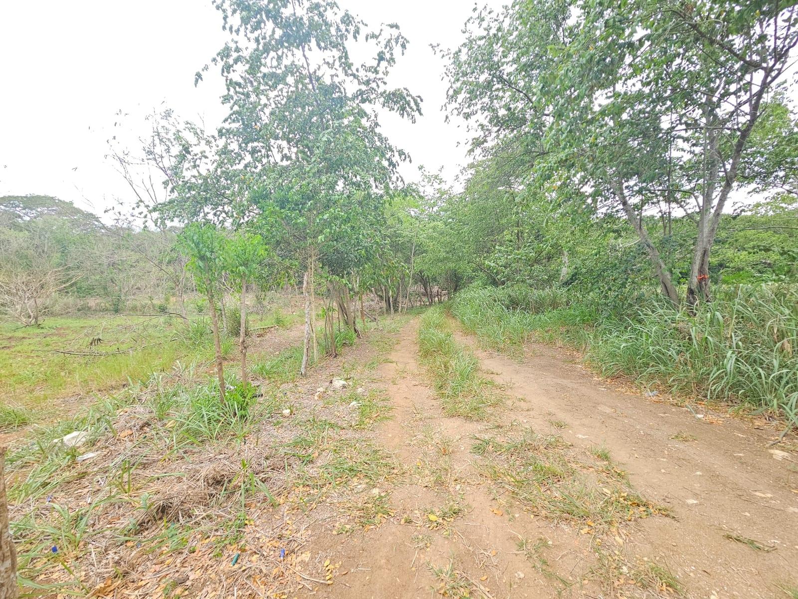 Tenth image of Lot 284 Green Park, Trelawny in Green Park, Trelawny, Jamaica - property is For Sale