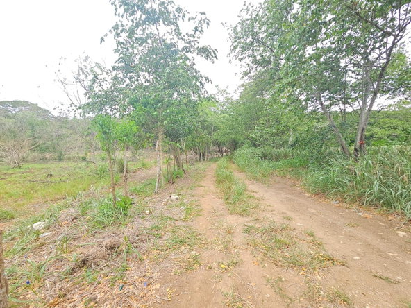 Tenth image of Lot 284 Green Park, Trelawny in Green Park, Trelawny, Jamaica - property is For Sale