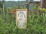First image of Lot 284 Green Park, Trelawny in Green Park, Trelawny, Jamaica - property is For Sale