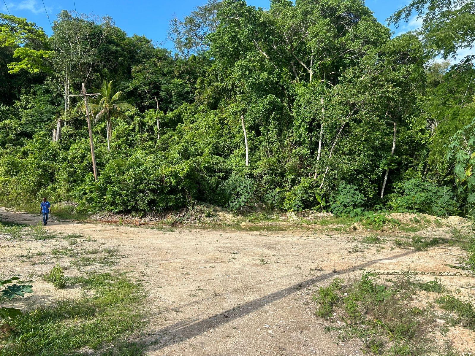 Eleventh image of Ocean Ridge Spring Valley in Ocean Ridge, St. Mary, Jamaica - property is For Sale