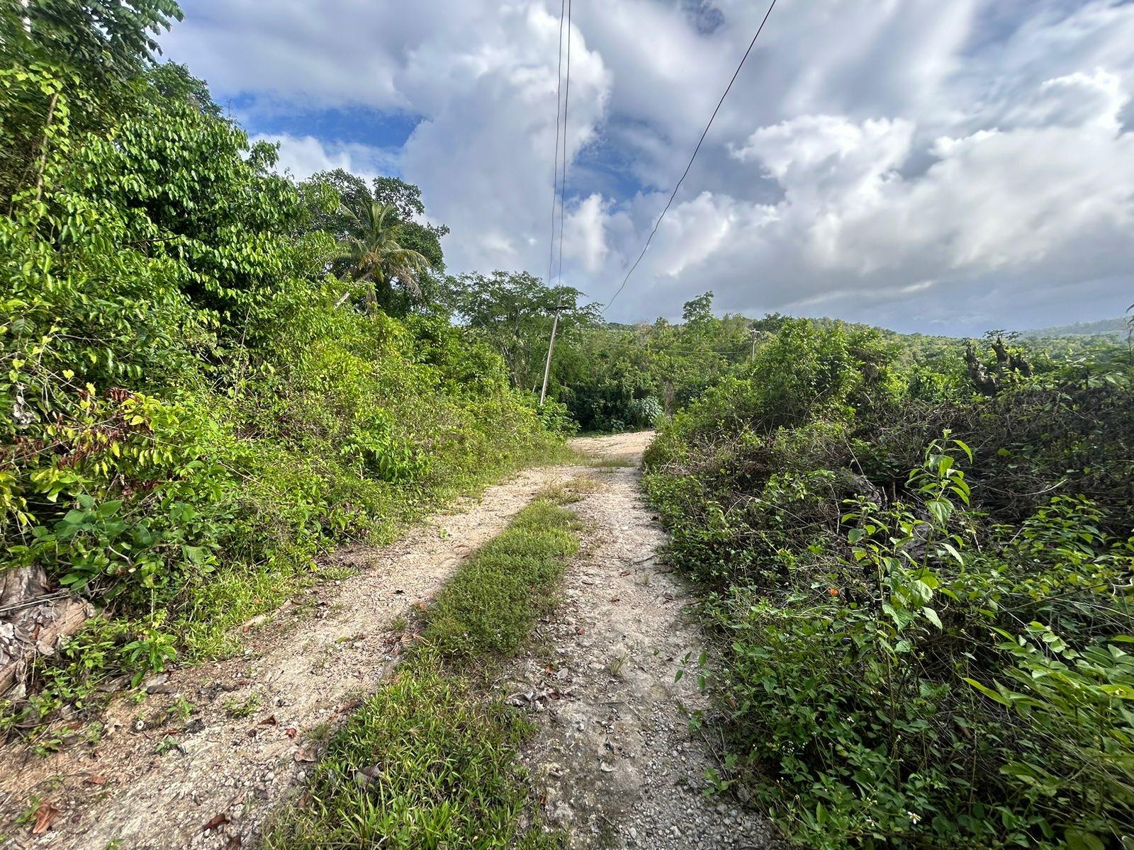 Third image of Ocean Ridge Spring Valley in Ocean Ridge, St. Mary, Jamaica - property is For Sale