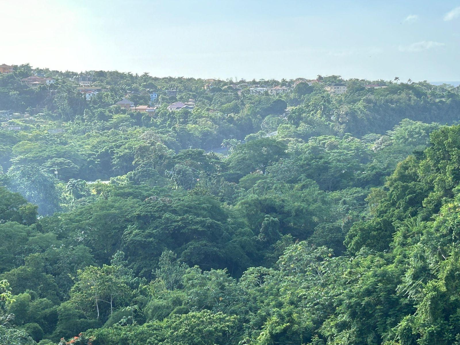 Fourth image of Ocean Ridge Spring Valley in Ocean Ridge, St. Mary, Jamaica - property is For Sale