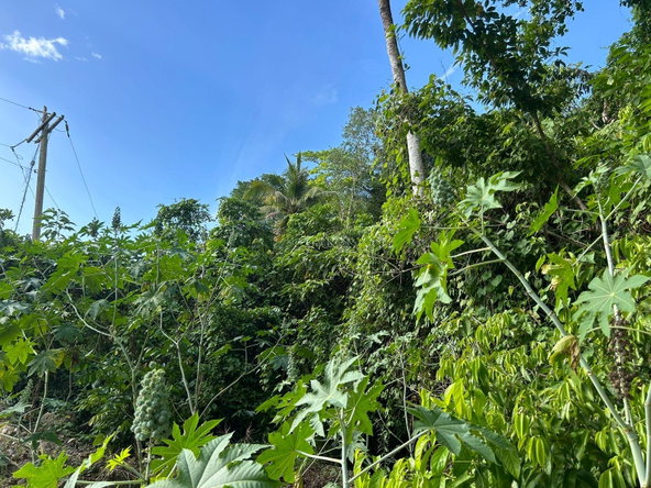 Seventh image of Ocean Ridge Spring Valley in Ocean Ridge, St. Mary, Jamaica - property is For Sale