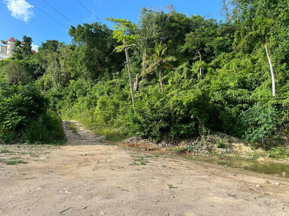 Eighth image of Ocean Ridge Spring Valley in Ocean Ridge, St. Mary, Jamaica - property is For Sale
