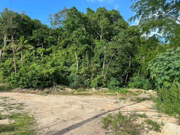 Ninth image of Ocean Ridge Spring Valley in Ocean Ridge, St. Mary, Jamaica - property is For Sale