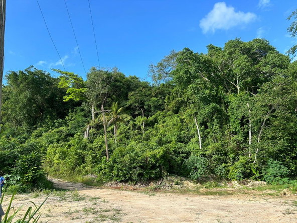Tenth image of Ocean Ridge Spring Valley in Ocean Ridge, St. Mary, Jamaica - property is For Sale