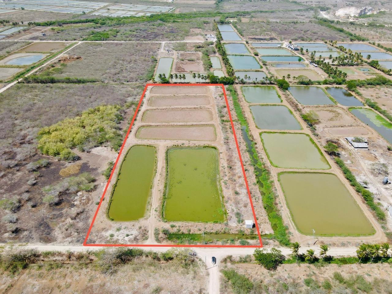 Prime-5.47-Acres-Land-for-Sale-in-Hill-Run-St.-Catherine-Jamaica Second image of Lot #310 Hill Run, St. Catherine in Hill Run, St. Catherine, Jamaica - property is For Sale