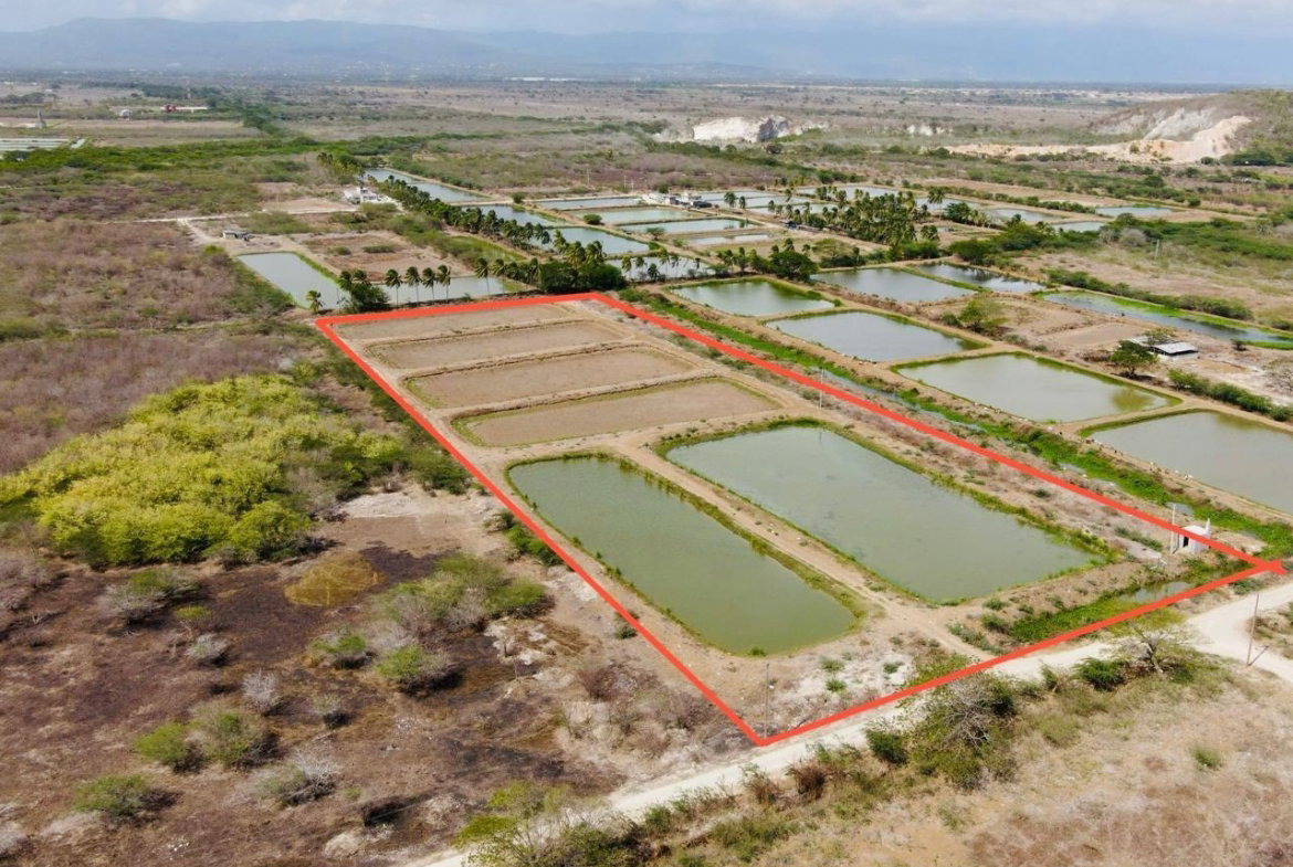 Fourth image of Lot #310 Hill Run, St. Catherine in Hill Run, St. Catherine, Jamaica - property is For Sale
