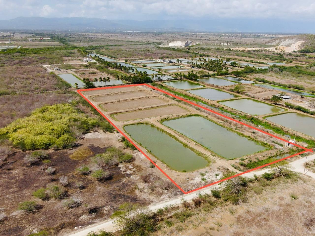 Prime-5.47-Acres-Land-for-Sale-in-Hill-Run-St.-Catherine-Jamaica Fourth image of Lot #310 Hill Run, St. Catherine in Hill Run, St. Catherine, Jamaica - property is For Sale