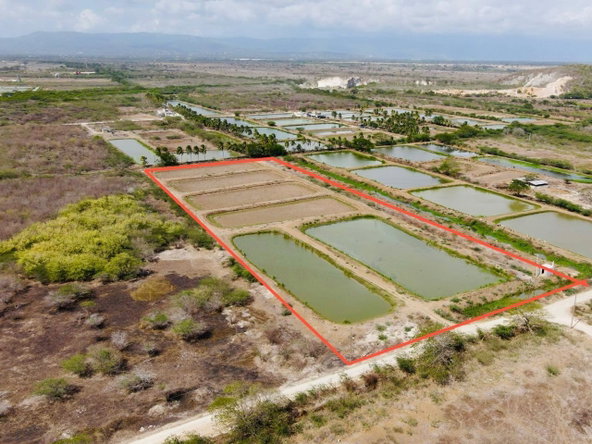 Fourth image of Lot #310 Hill Run, St. Catherine in Hill Run, St. Catherine, Jamaica - property is For Sale
