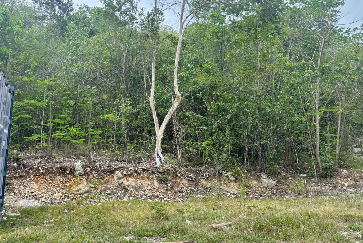 Second image of 28 Clermont in Daniel Town, Trelawny, Jamaica - property is For Sale
