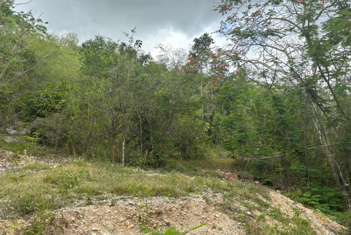 Fifth image of 28 Clermont in Daniel Town, Trelawny, Jamaica - property is For Sale