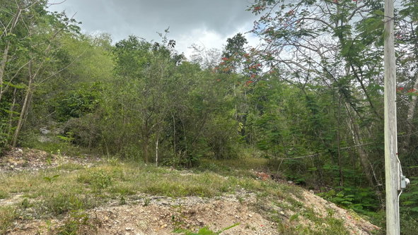 Fifth image of 28 Clermont in Daniel Town, Trelawny, Jamaica - property is For Sale