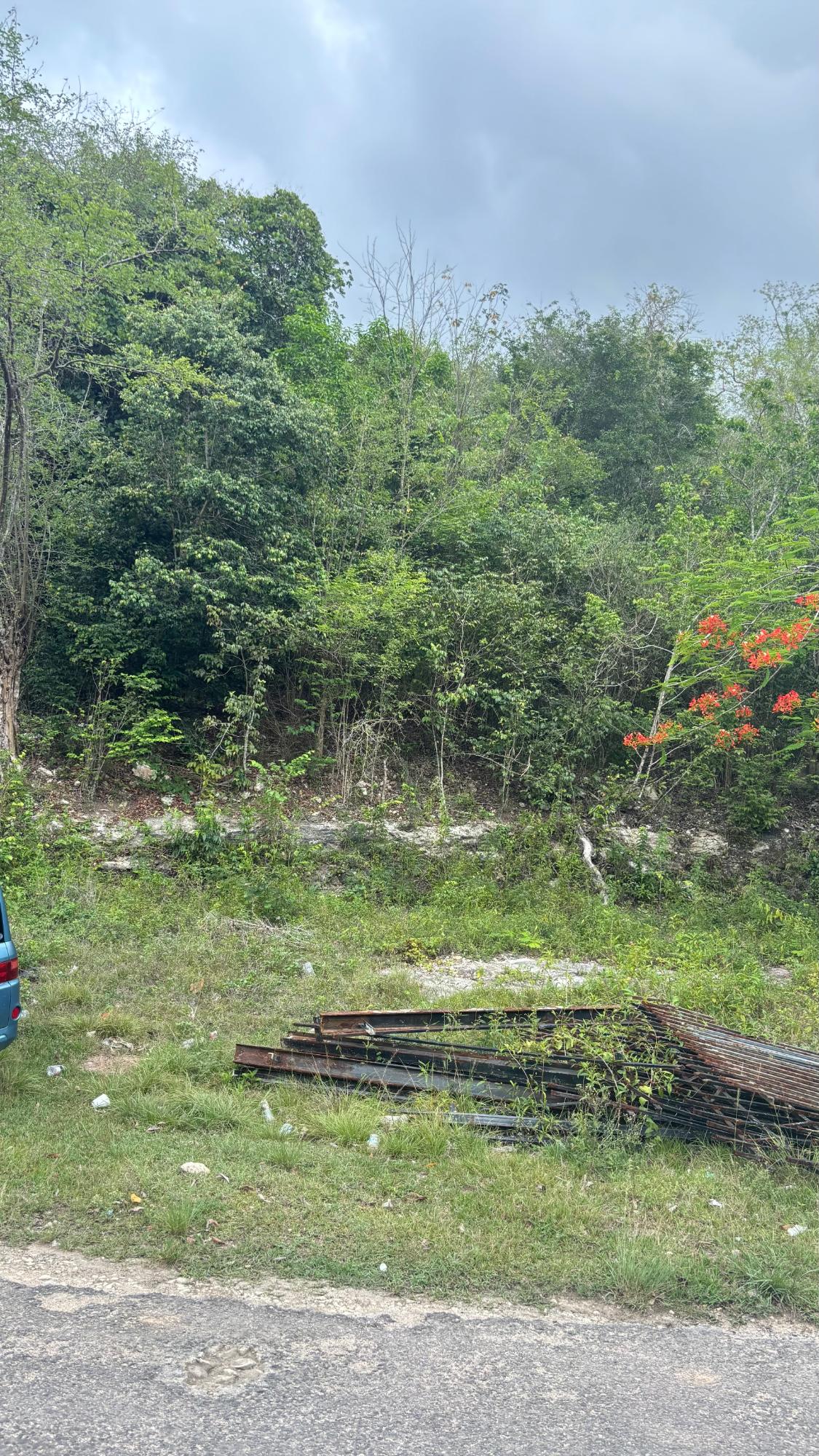 Sixth image of 28 Clermont in Daniel Town, Trelawny, Jamaica - property is For Sale