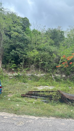 Sixth image of 28 Clermont in Daniel Town, Trelawny, Jamaica - property is For Sale