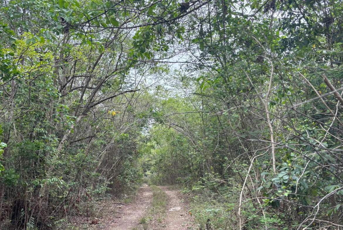 Seventh image of 28 Clermont in Daniel Town, Trelawny, Jamaica - property is For Sale