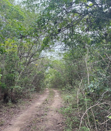 Seventh image of 28 Clermont in Daniel Town, Trelawny, Jamaica - property is For Sale