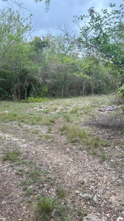 Eighth image of 28 Clermont in Daniel Town, Trelawny, Jamaica - property is For Sale