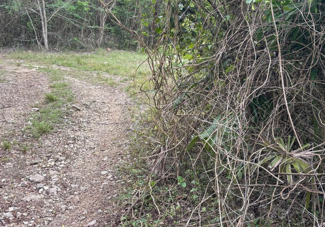 Ninth image of 28 Clermont in Daniel Town, Trelawny, Jamaica - property is For Sale