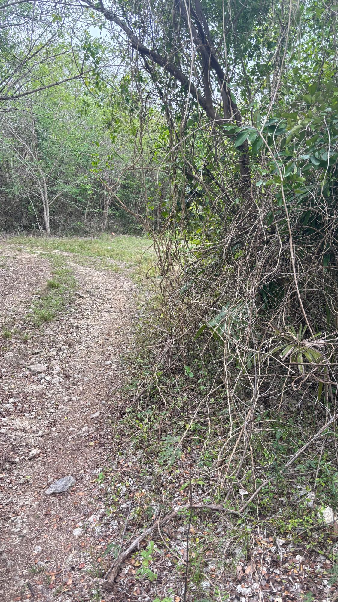 Ninth image of 28 Clermont in Daniel Town, Trelawny, Jamaica - property is For Sale